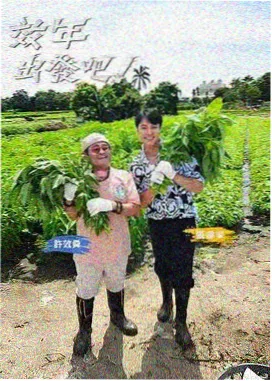 影视歌曲热播榜第九名一碗人间唱片缩略图